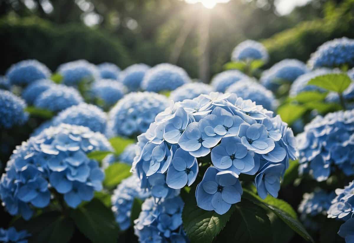 Epsom salt turns hydrangeas blue when used in the garden