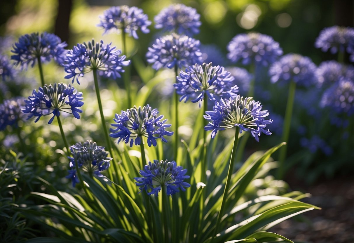 A lush garden filled with vibrant agapanthus flowers, varying in shades of blue and purple, surrounded by lush green foliage and bathed in warm sunlight