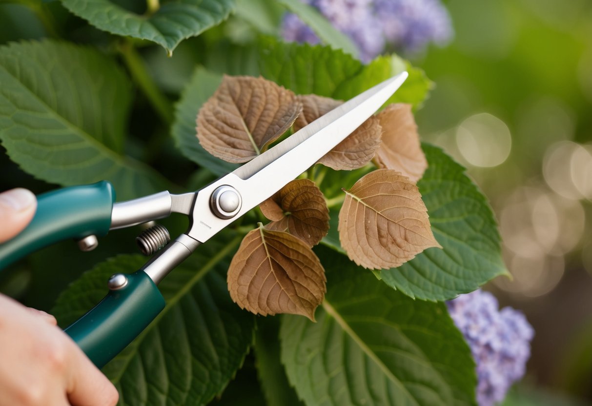 Should I Cut Off Brown Hydrangea Leaves? Tips for Healthy Blooms